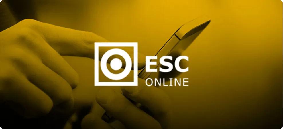 Breves conclusões sobre a Esconline